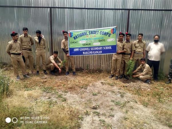 Plantation Drive