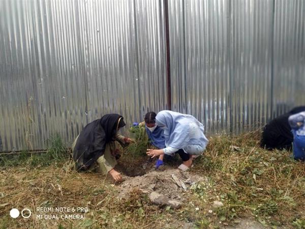 Plantation Drive